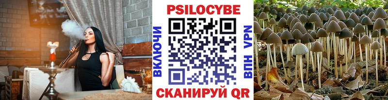 Псилоцибиновые грибы Psilocybine cubensis  наркота  Усть-Джегута 