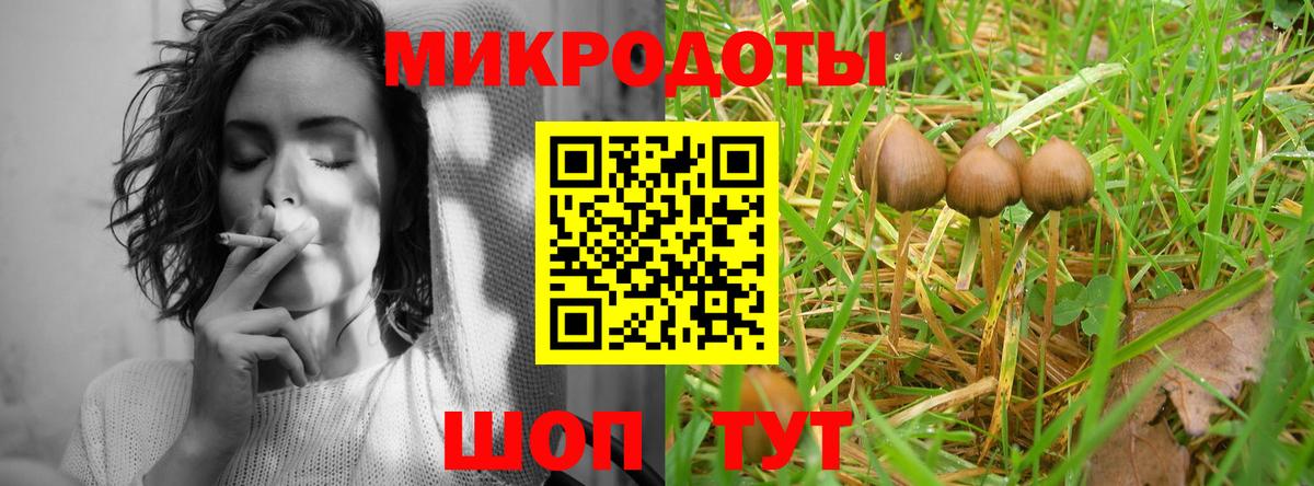 Псилоцибиновые грибы Psilocybe Усть-Джегута