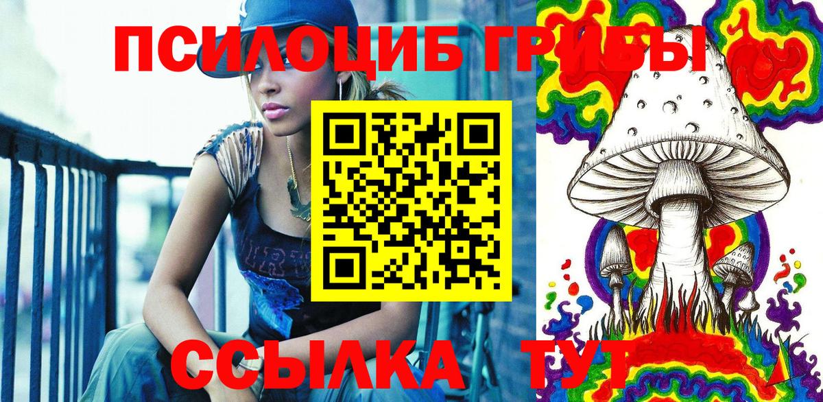 хочу   Вход с VPN  Усть-Джегута  Псилоцибиновые грибы Cubensis 